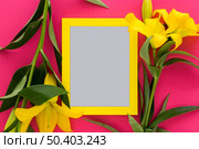 yellow lily flowers blank picture frame pink background. Стоковое фото, агентство Ingram Publishing / Фотобанк Лори