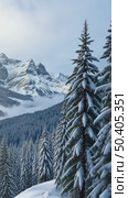 A snowy landscape with tree branches covered in snow, snowy mountains in the background, soft muted light, frontal view. Стоковое AI-видео, аниматор Sergey Grishin / Фотобанк Лори