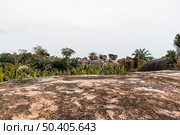 african nature scenery with vegetation trees 3. Стоковое фото, агентство Ingram Publishing / Фотобанк Лори