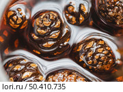 cones background. Стоковое фото, агентство Ingram Publishing / Фотобанк Лори