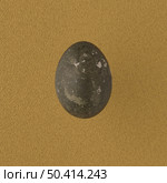 Black painted egg on yellow background. Стоковое фото, агентство Ingram Publishing / Фотобанк Лори