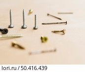 OLYMPUS DIGITAL CAMERA. self tapping screws nails bolts. Редакционное фото, агентство Ingram Publishing / Фотобанк Лори