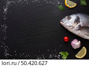 frame with condiments fresh fish. Стоковое фото, агентство Ingram Publishing / Фотобанк Лори