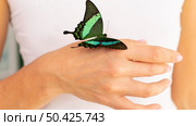 close up view butterfly hand 3. Стоковое фото, агентство Ingram Publishing / Фотобанк Лори