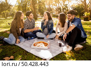Friends at the park making a picnic. Стоковое фото, агентство Ingram Publishing / Фотобанк Лори