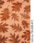 flat lay monochromatic leaves with copy space 2. Стоковое фото, агентство Ingram Publishing / Фотобанк Лори
