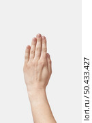 woman has put together, folded in a prayer sign, gesture isolated on white background.. Hands pray gesture isolated on white. Стоковое фото, агентство Ingram Publishing / Фотобанк Лори
