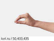 Invisible item measuring female hand gesturing, sign isolated on white background, Set of different positions.. Set of measuring hands on white. Стоковое фото, агентство Ingram Publishing / Фотобанк Лори