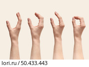 Multiple female hand making the symbol that measuring or size or girth, thickness with fingers upward positioning isolated on cream background. Hand with fingers open steps.. Hand with measuring symbols. Стоковое фото, агентство Ingram Publishing / Фотобанк Лори