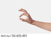 Female hand Invisible item measuring gesturing small girth or OK sign isolated on white background, Set of different positions.. OK gesturing or measuring hands on white. Стоковое фото, агентство Ingram Publishing / Фотобанк Лори