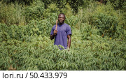 countryside worker out field 3. Стоковое фото, агентство Ingram Publishing / Фотобанк Лори