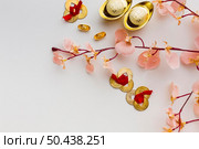 floral new year chinese 2021. Стоковое фото, агентство Ingram Publishing / Фотобанк Лори