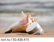 front view skin care moisture recipient arrangement seashell. Стоковое фото, агентство Ingram Publishing / Фотобанк Лори