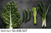 green organic veggie salad. Стоковое фото, агентство Ingram Publishing / Фотобанк Лори