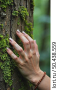Cinematic close up of female fingers touch gently moss on tree bark. Tender and sensual connection to nature and environment. Conscious traveling and protection innocent forests, ecological problem. Стоковое AI-видео, аниматор Sergey Grishin / Фотобанк Лори