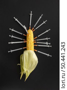 gmo chemical modified food corn syringes. Стоковое фото, агентство Ingram Publishing / Фотобанк Лори