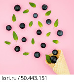 blueberry with leaves cornet. Стоковое фото, агентство Ingram Publishing / Фотобанк Лори