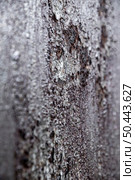 extremely close up rusty iron walls 2. Стоковое фото, агентство Ingram Publishing / Фотобанк Лори