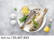 Dorada fish sea bream baked. Healthy food. Mediterranean diet. Стоковое фото, агентство Ingram Publishing / Фотобанк Лори