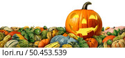 Carved Pumpkin harvest as a Jack-O-Lantern pumpkin with fresh farm squash and colorful thanksgiving seasonal autumn squashes and fall pumpkins. Стоковое фото, агентство Ingram Publishing / Фотобанк Лори