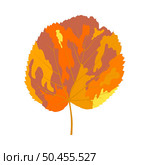 Autumn linden leaf. Leaf fall. Vector illustration. Стоковая иллюстрация, агентство Ingram Publishing / Фотобанк Лори