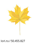 Autumn maple leaf. Leaf fall. Vector illustration. Стоковая иллюстрация, агентство Ingram Publishing / Фотобанк Лори