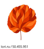 Autumn linden leaf. Leaf fall. Vector illustration. Стоковая иллюстрация, агентство Ingram Publishing / Фотобанк Лори