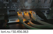 A close-up video of blinking LED lights at RJ-45 connector ports on active network servers, creating a futuristic symphony of rhythmic pulses. Стоковое видео, видеограф Виктор Ветошкин / Фотобанк Лори