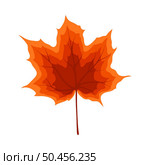 Autumn maple leaf. Leaf fall. Vector illustration. Стоковая иллюстрация, агентство Ingram Publishing / Фотобанк Лори