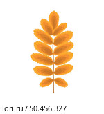 Autumn Rowan leaf. Leaf fall. Vector illustration. Стоковая иллюстрация, агентство Ingram Publishing / Фотобанк Лори