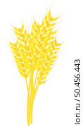 Wheat cartoon isolated vector illustration on white background. Wheat stems in sheaf. Realistic cartoon wheat sprouts illustration with glow. Стоковая иллюстрация, агентство Ingram Publishing / Фотобанк Лори