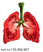 Tomatoes And Lung Health as lycopene and tomato juice dietary healthy food to fight pulmonary disease and COPD as a medicinal diet and nutrition for lung function with carotenoid and beta-carotene. Стоковое фото, агентство Ingram Publishing / Фотобанк Лори