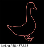Neon goose red color vector illustration image flat style light. Neon goose red color vector illustration image flat style. Стоковая иллюстрация, агентство Ingram Publishing / Фотобанк Лори