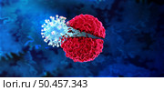 Oncolytic Virus immunotherapy and cancer vaccine Therapy as a treatment to kill cancers by attacking the malignant tumor cell and infecting them and destroying the pathogen as a 3D render. Стоковое фото, агентство Ingram Publishing / Фотобанк Лори