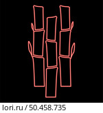 Neon bamboo with leafs Nature plant red color vector illustration image flat style light. Neon bamboo with leafs Nature plant red color vector illustration image flat style. Стоковая иллюстрация, агентство Ingram Publishing / Фотобанк Лори