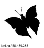 Silhouette of butterfly. Butterfly close-up detailed. Vector butterfly icon on white background. Стоковая иллюстрация, агентство Ingram Publishing / Фотобанк Лори