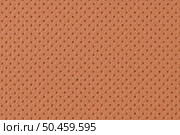 Perforated brown leather texture background, closeup. Bronze backdrop from wrinkle skin, structure of textile. Стоковое фото, агентство Ingram Publishing / Фотобанк Лори
