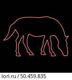 Neon steed Horse Equestrian Equine Stallion thoroughbred Mustang red color vector illustration image flat style light. Neon steed Horse Equestrian Equine Stallion thoroughbred Mustang red color vector illustration image flat style. Стоковая иллюстрация, агентство Ingram Publishing / Фотобанк Лори
