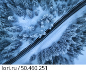 Aerial view of mountain road in fairy forest in snow in winter in blue hour. Top view from drone of highway, snowy pine trees at dusk. Beautiful rural road in woods in twilight. Travel in Slovenia. Стоковое фото, агентство Ingram Publishing / Фотобанк Лори