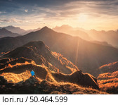 Aerial view of man on the hill and beautiful mountains in haze at sunset in autumn. Dolomites, Italy. Drone view of guy, mountain ridges in fog, orange grass, trees, sky, golden sunlight in fall. Стоковое фото, агентство Ingram Publishing / Фотобанк Лори