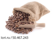 Pinto beans bag with wooden scoop on white background. Стоковое фото, агентство Ingram Publishing / Фотобанк Лори