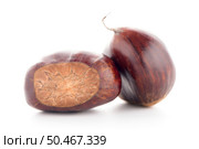 Chestnuts with shell isolated on white background. Стоковое фото, агентство Ingram Publishing / Фотобанк Лори