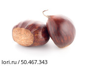 Chestnuts with shell isolated on white background. Стоковое фото, агентство Ingram Publishing / Фотобанк Лори