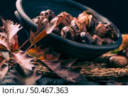 Roasted chestnuts on a rustic wooden table with autumn leaves in the background. Стоковое фото, агентство Ingram Publishing / Фотобанк Лори