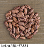 Top view of circle of pinto beans against green vinyl background. Стоковое фото, агентство Ingram Publishing / Фотобанк Лори