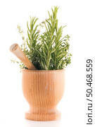 Green herb leafs sprigs in an wood mortar over white background. Стоковое фото, агентство Ingram Publishing / Фотобанк Лори