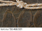 Brown synthetic leather detailed texture. Стоковое фото, агентство Ingram Publishing / Фотобанк Лори