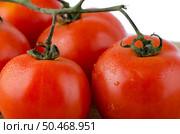 Cherry Tomatoes on the vine over raffia background. Стоковое фото, агентство Ingram Publishing / Фотобанк Лори