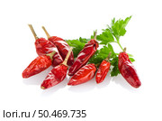 Hot red chili or chilli pepper and parsley leaves still life isolated on white background. Стоковое фото, агентство Ingram Publishing / Фотобанк Лори