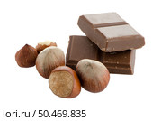 Chocolate Bar with hazelnuts on white background. Стоковое фото, агентство Ingram Publishing / Фотобанк Лори